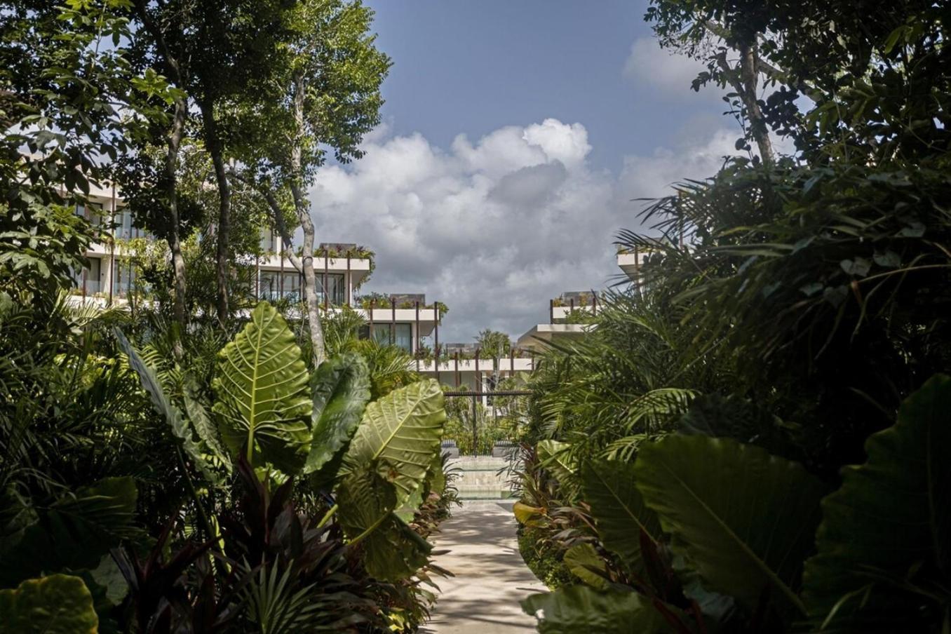 Luxury Stay Pools, Gym, Beach Access, Fast Wifi! Tulum Exteriér fotografie